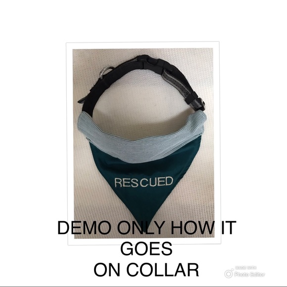 DOG BANDANA PERSONALIZED MAX EMBROIDERED TEAL - Picture 6 of 7